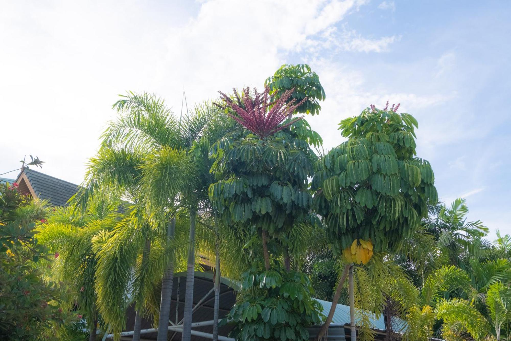 Blue Beach Grand Resort And Spa In Chalong Phuket By Dayuu Ban Saiyuan Екстер'єр фото